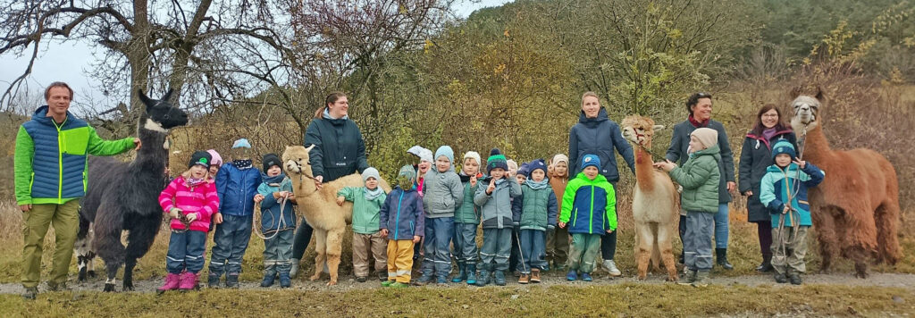Kindergarten Sonnenkäfer Teichel Alpakas zu Besuch
