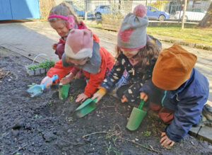 Wir bepflanzen unser Beet.