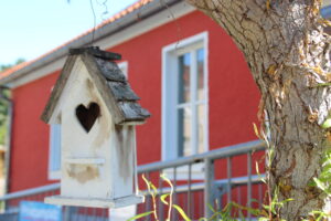 Kindergarten Am Eichwald Bad Blankenburg Vogelhäuschen
