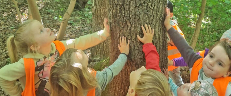 Kindergarten Bad Blankenburg, Kinder stehen an einem starken Baum und schauen nach oben