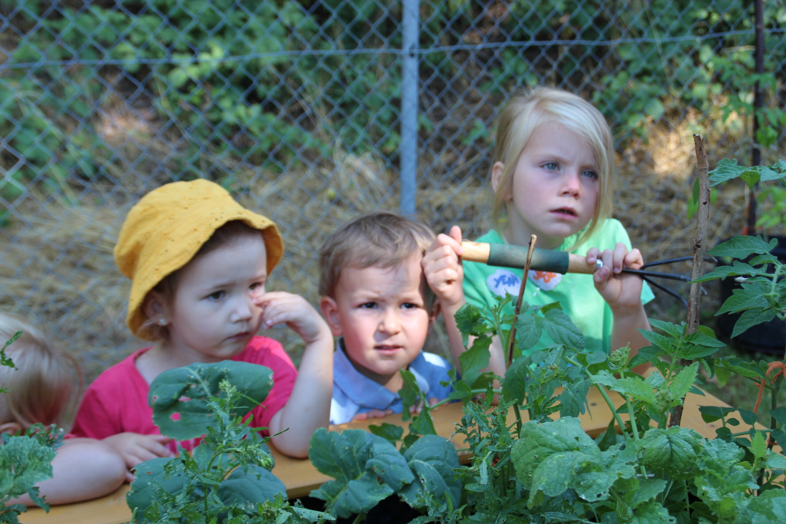 Kindergarten Zwergenparadies Leutenberg - Hochbeet