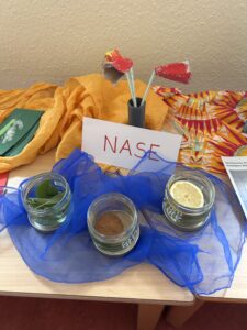 Mein-Körper-Projekt, die Nase.