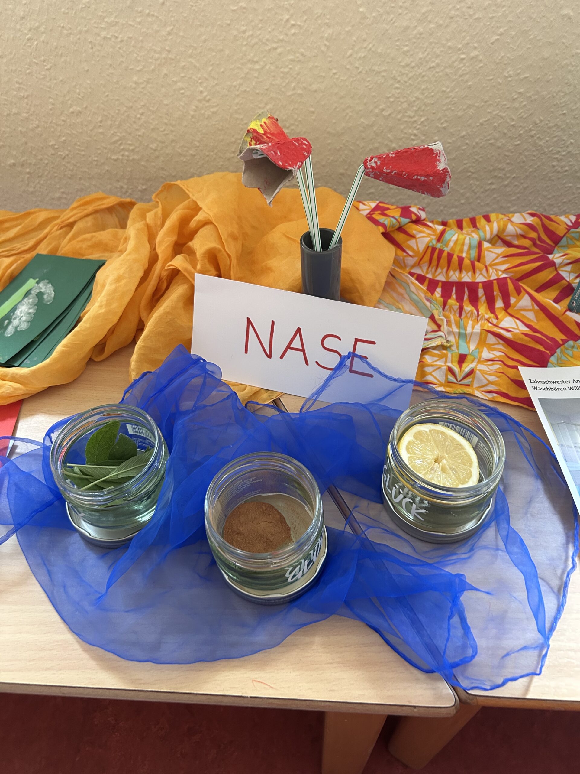 Mein-Körper-Projekt, die Nase.