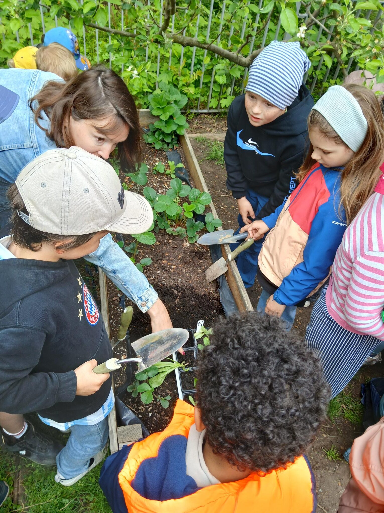 Frühlingsbepflanzung im Kindergarten