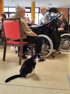 Senioren-WG WS Kloster Donndorf