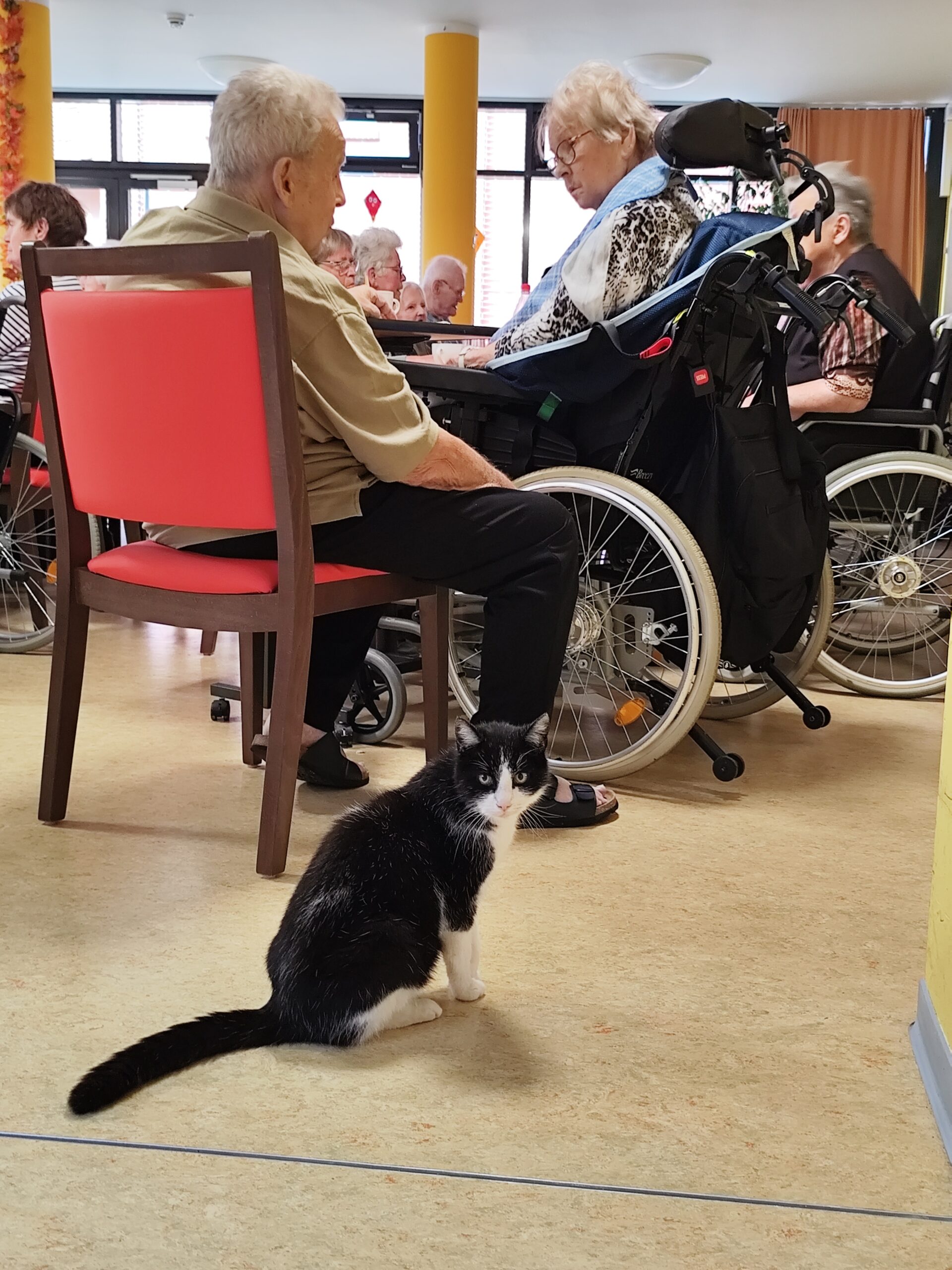 Senioren-WG WS Kloster Donndorf