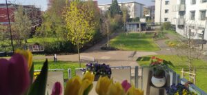 Senioren-WG am Ringelberg Erfurt