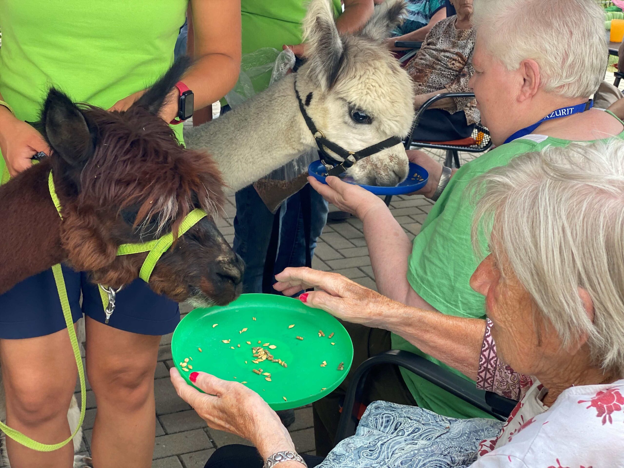 Seniorenpflegeheim Sophienhaus Weimar