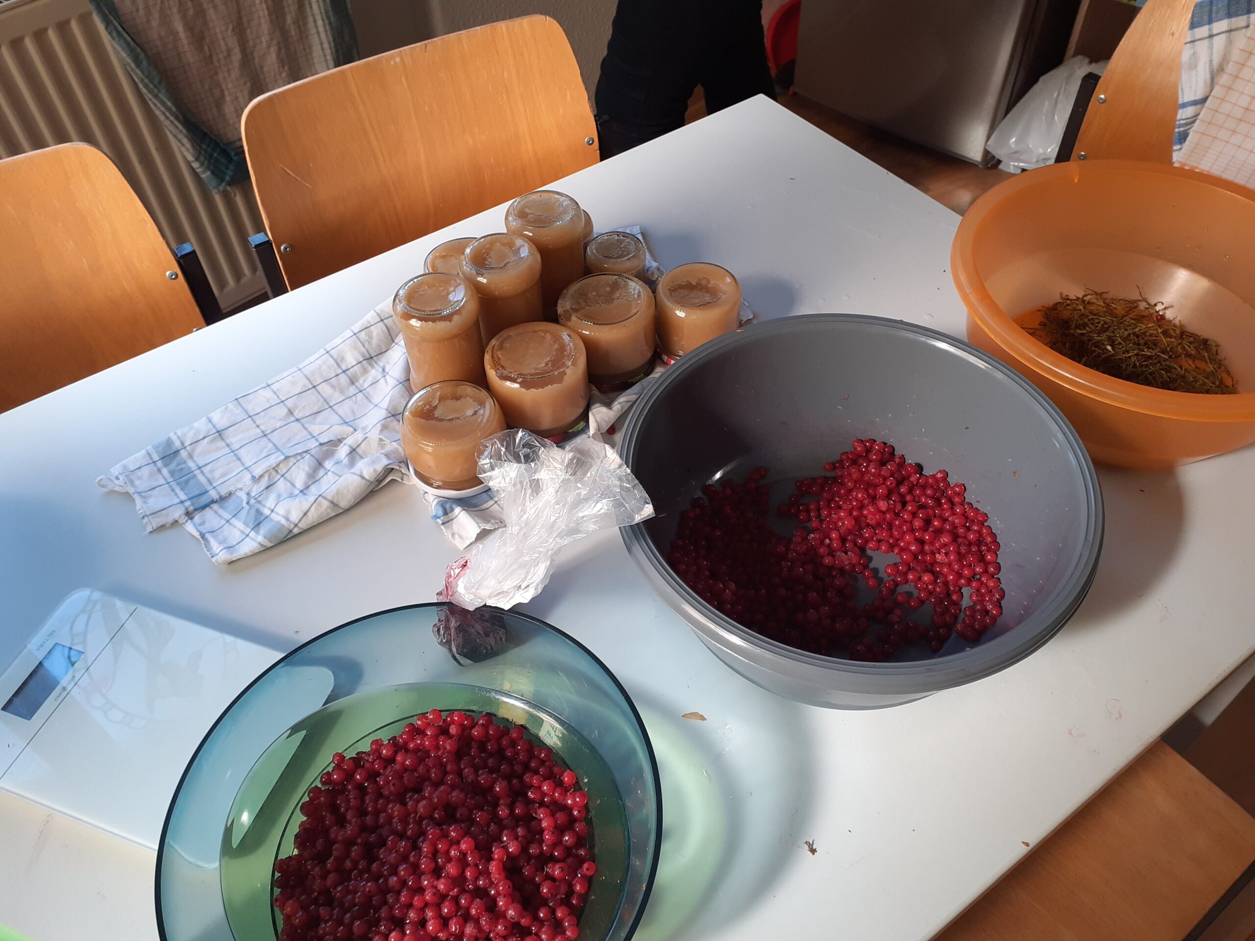 Utensilien und Zutaten zum Marmelade kochen