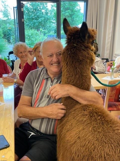 Tagespflege am Ringelberg Erfurt