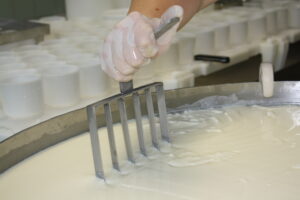 Molkereiprodukte, Milchbottich