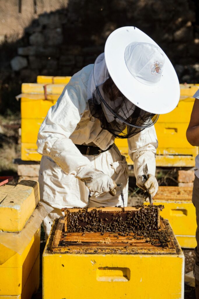 Imkerarbeit auf dem Stiftsgut Nägelstedt