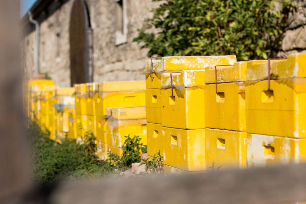Bienenkästen auf dem Stiftsgut Nägelstedt